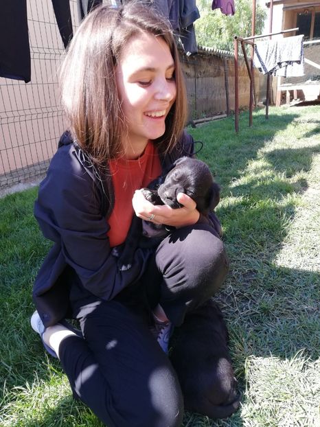 IMG-20210108-WA0063 - 2020-PAZNICII PORUMBEILOR