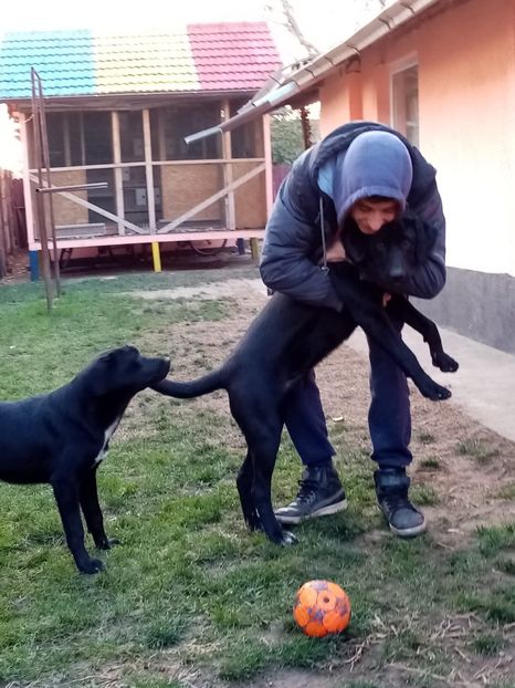 IMG-20210108-WA0064 - 2020-PAZNICII PORUMBEILOR