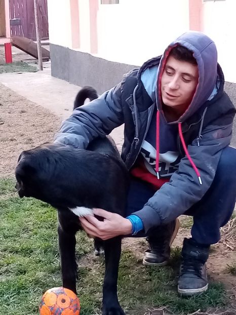 IMG-20210108-WA0065 - 2020-PAZNICII PORUMBEILOR