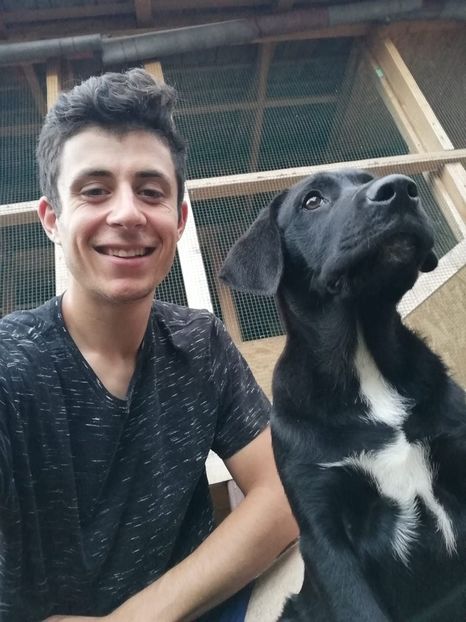 IMG-20210108-WA0082 - 2020-PAZNICII PORUMBEILOR