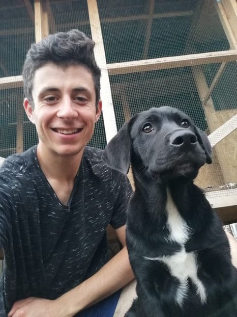 IMG-20210108-WA0097 - 2020-PAZNICII PORUMBEILOR