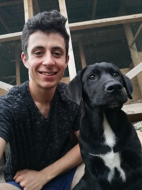 IMG-20210108-WA0098 - 2020-PAZNICII PORUMBEILOR