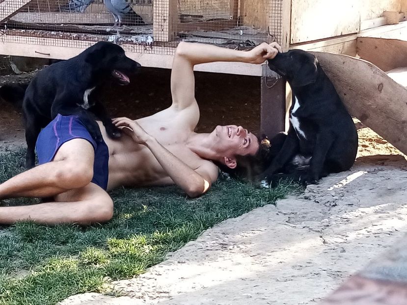 IMG-20210108-WA0106 - 2020-PAZNICII PORUMBEILOR