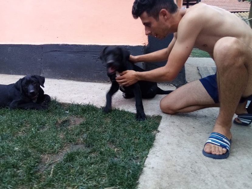 IMG-20210108-WA0111 - 2020-PAZNICII PORUMBEILOR