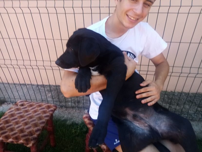 IMG-20210108-WA0125 - 2020-PAZNICII PORUMBEILOR