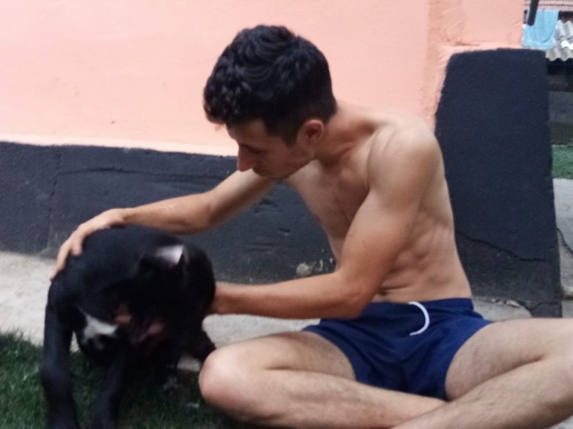 IMG-20210108-WA0126 - 2020-PAZNICII PORUMBEILOR