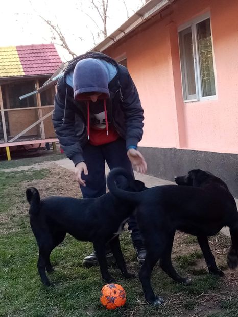 received_723188731933827 - 2020-PAZNICII PORUMBEILOR