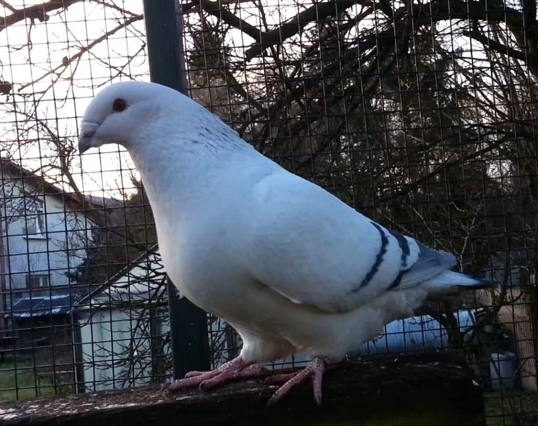 PL20-JRS 50 (M.) Archiwum - g- MLODE-2020 - Youth