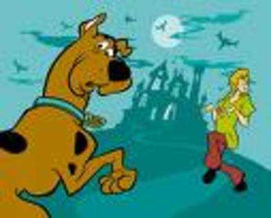 hjjhjjjj - scooby-doo