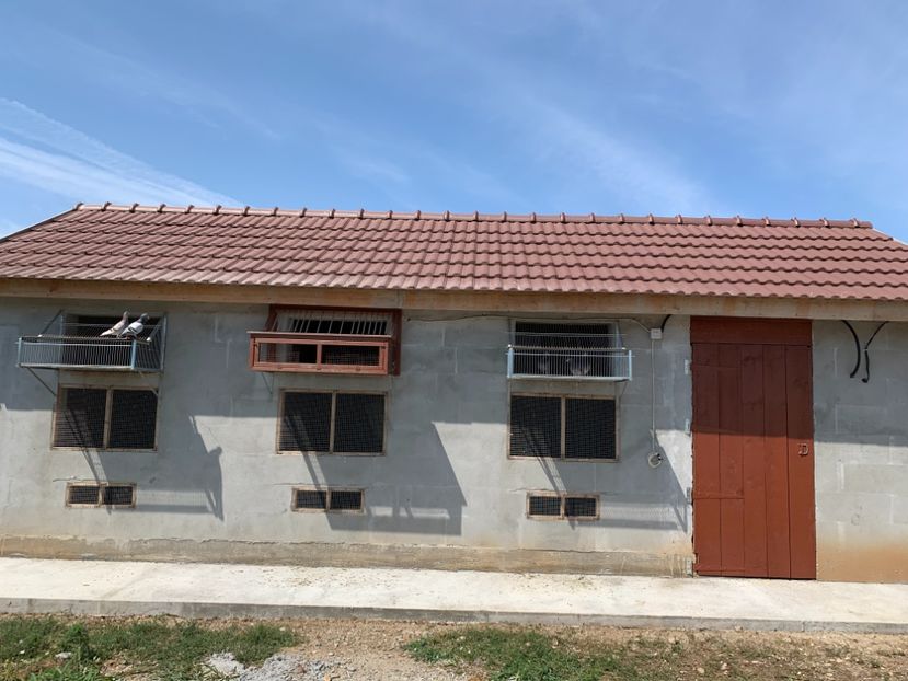 BAFF3378-798D-4605-803C-26BFC4CBD84C - POZE CU VOLIERA NOUA LOCATIE 2021 !!!