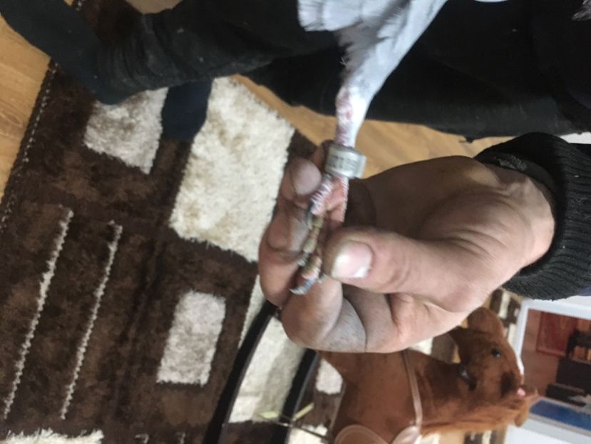 864F3720-A0C6-4CC8-8C28-F0D21F058D74 - De vânzare