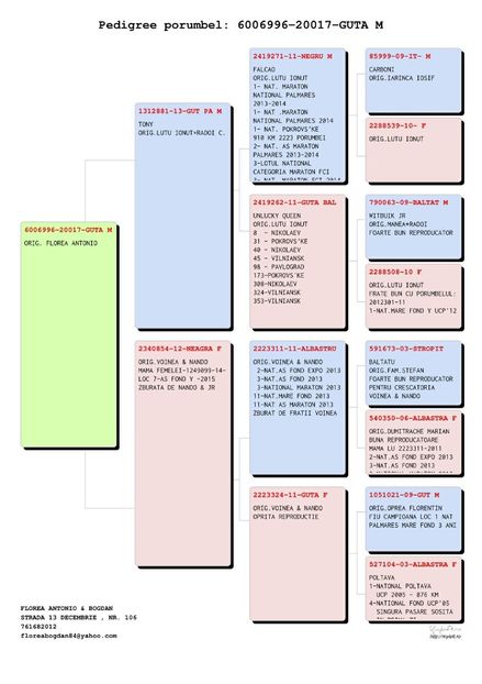 8A970EFF-D711-4AD7-809D-2BE2114F4B35 - De vânzare