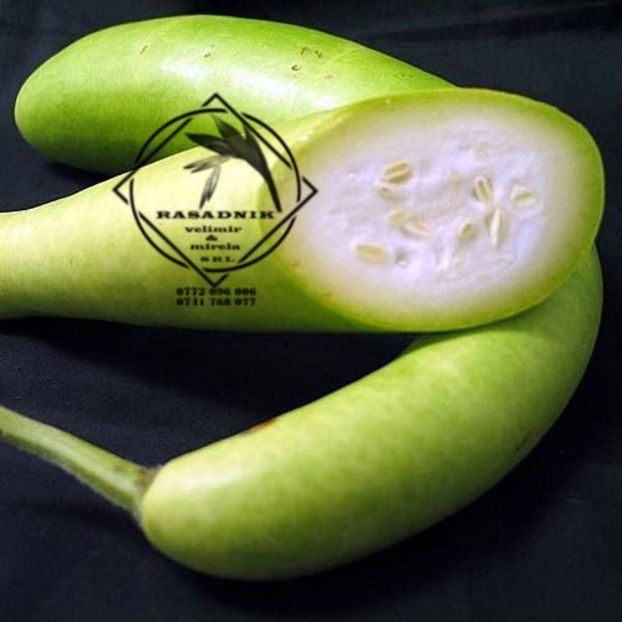 dovleac la metru3 - SEMINTE DOVLEAC la METRU