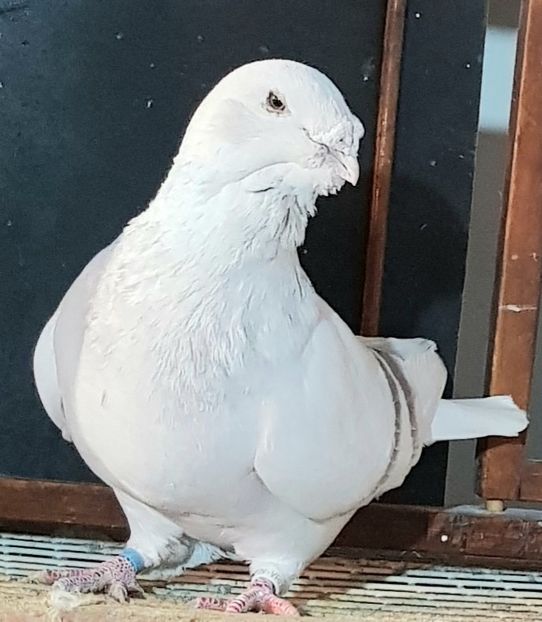 M 2018 - Top ten 2020