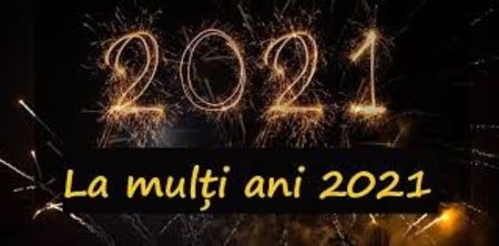 download - euphorbia milli