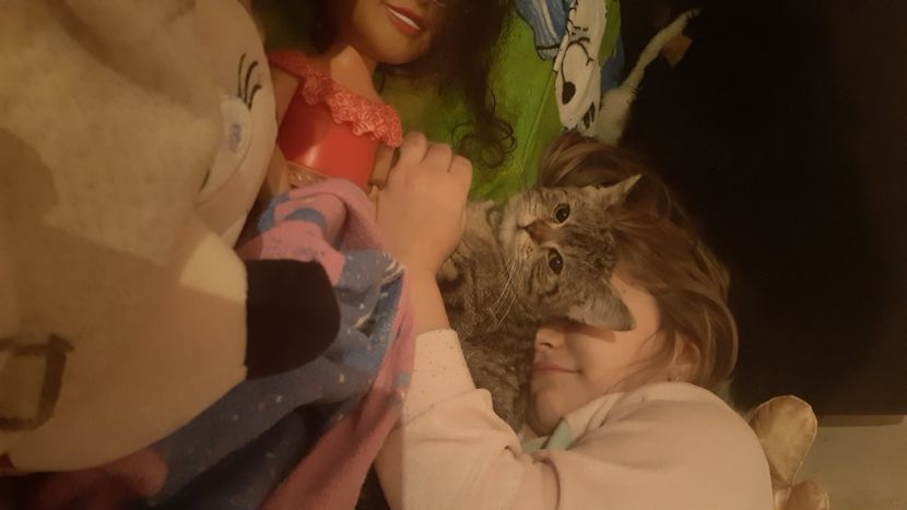  - animalele si copii mei