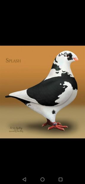 Screenshot_20210112_230352_com.android.gallery3d - Perechi 2021 baltati