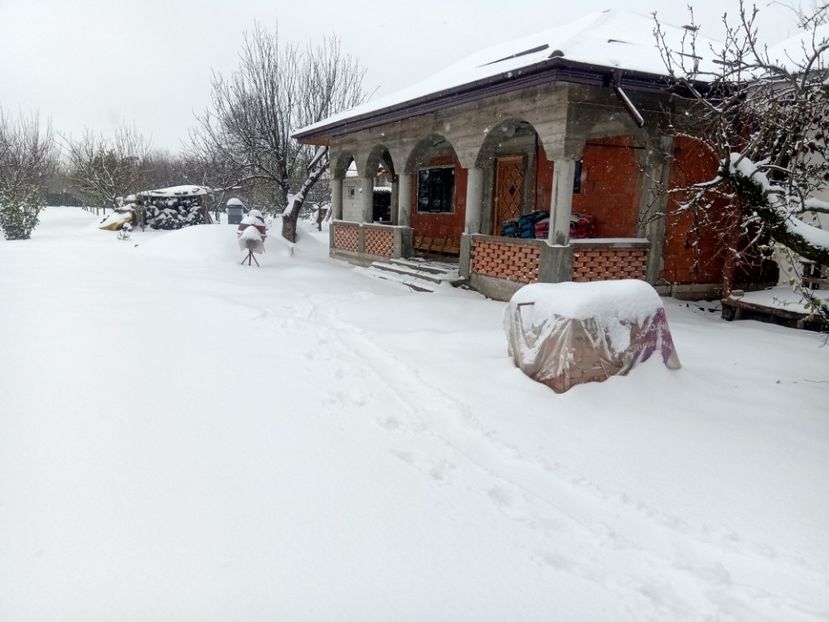  - Lucrari 2019si2020