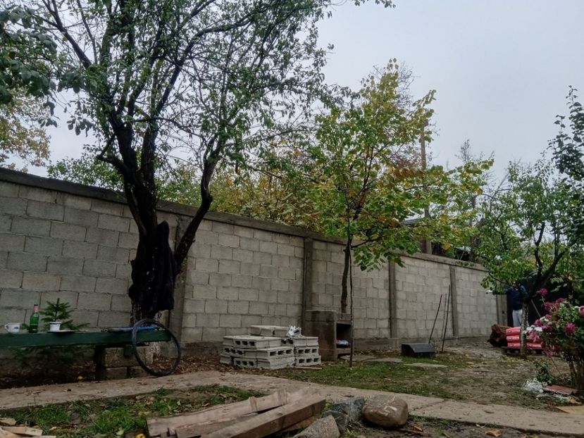  - Lucrari 2019si2020