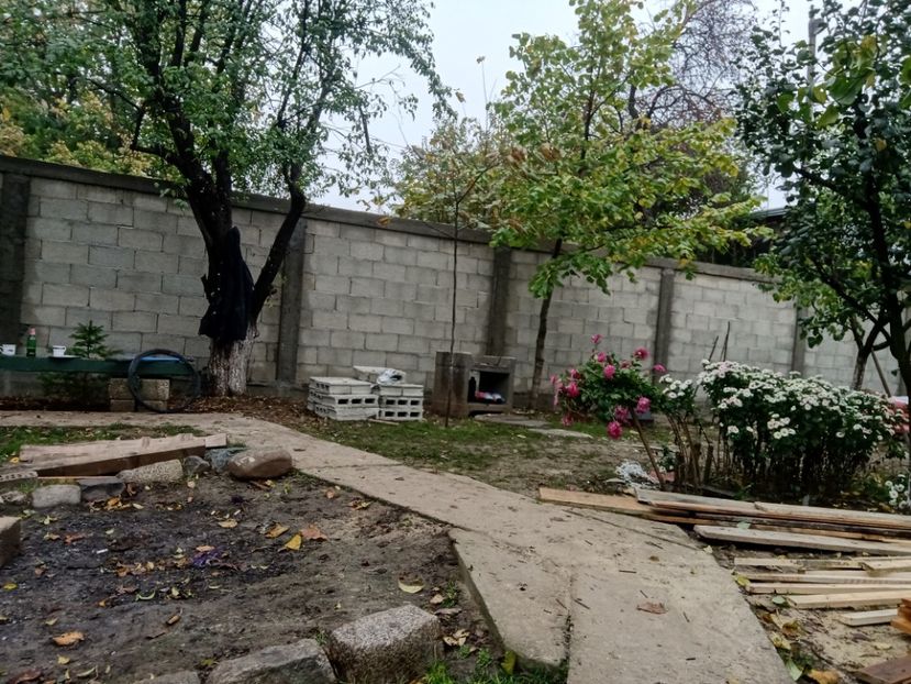  - Lucrari 2019si2020