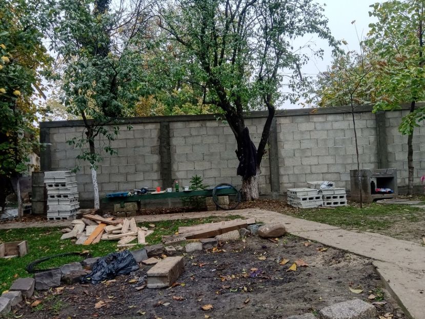  - Lucrari 2019si2020