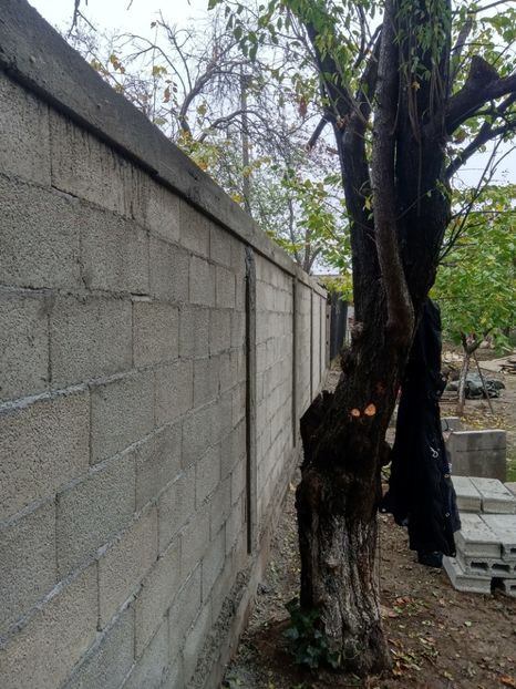  - Lucrari 2019si2020