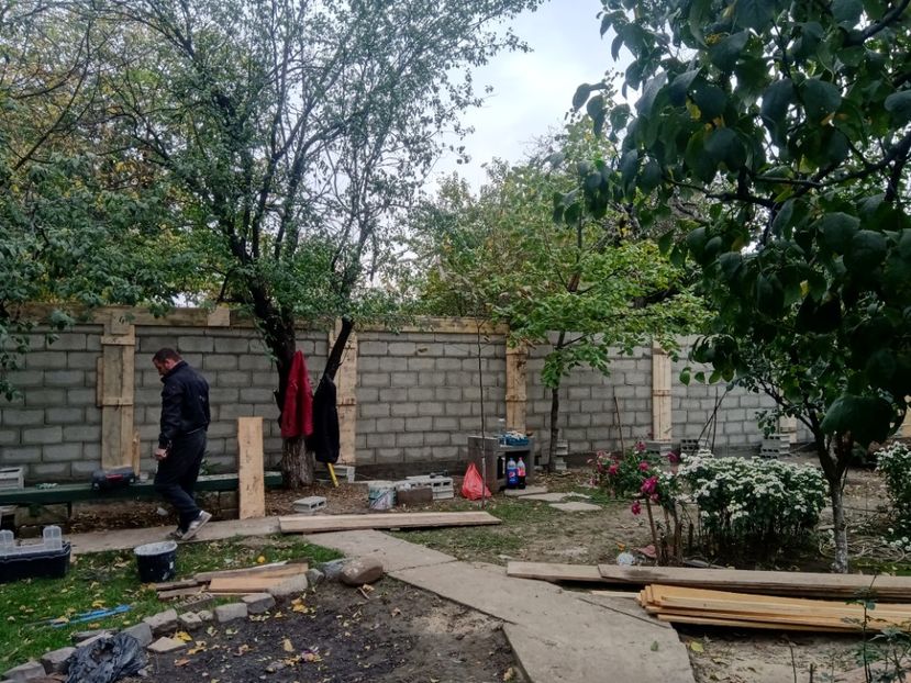  - Lucrari 2019si2020