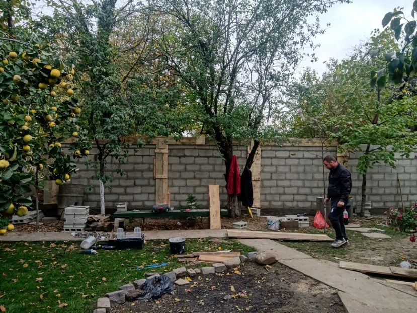  - Lucrari 2019si2020