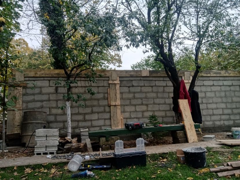  - Lucrari 2019si2020