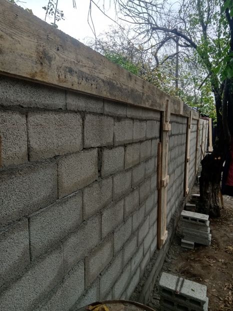  - Lucrari 2019si2020