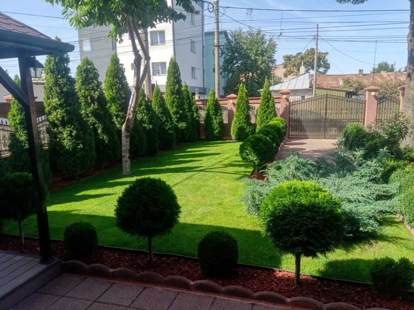  - Lucrari 2019si2020