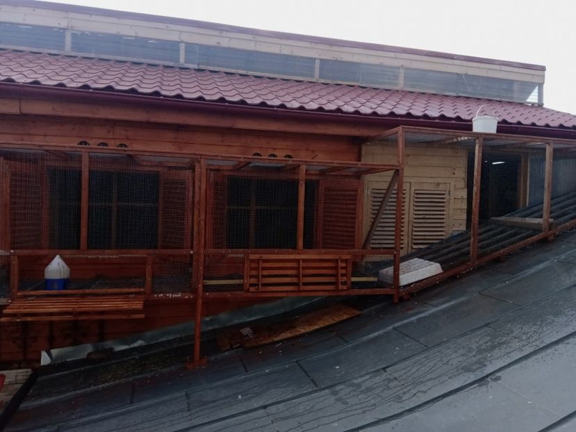  - Lucrari 2019si2020