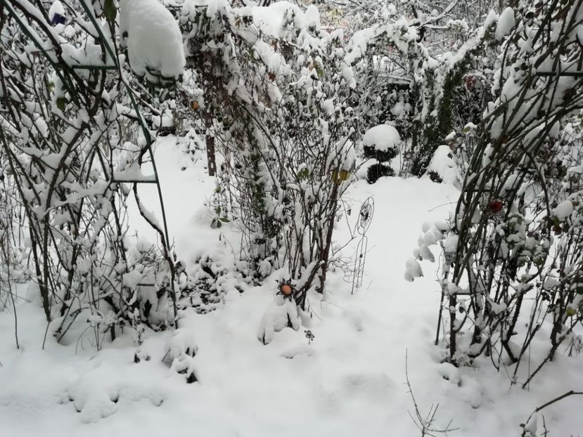 14.01.2021 - Grădina 2021