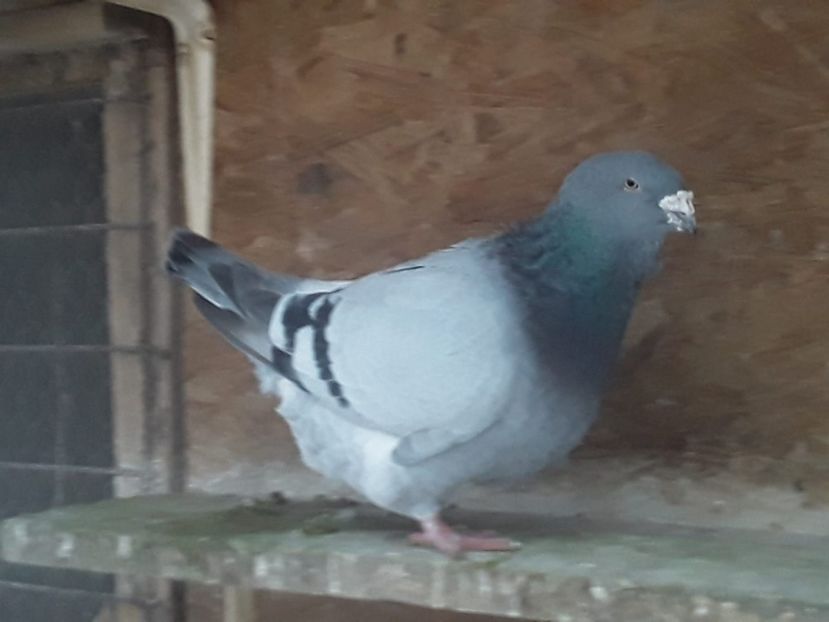 IMG-20201224-WA0009 - CONTACT