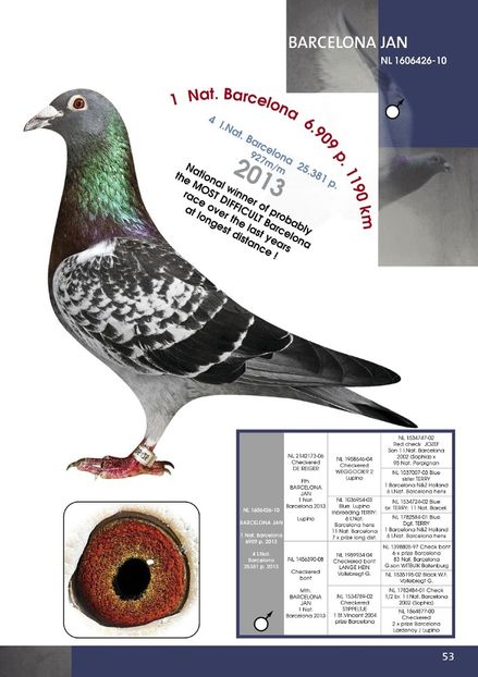 BUNIC - QUATTRO BARCA - Gebr Herbots 4 x 1 nat BARCELONA