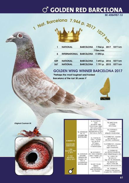 BUNIC - QUATTRO BARCA - Gebr Herbots 4 x 1 nat BARCELONA