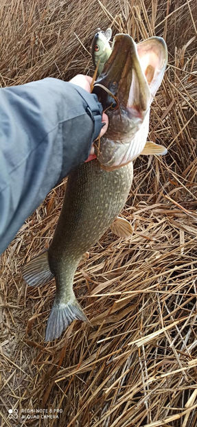 137270278_5098733553499920_7050330599550837321_o - sezon2021