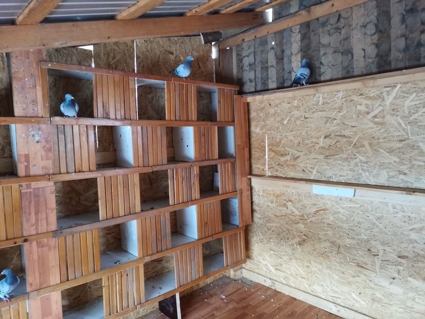  - Noua crescătorie de zbor