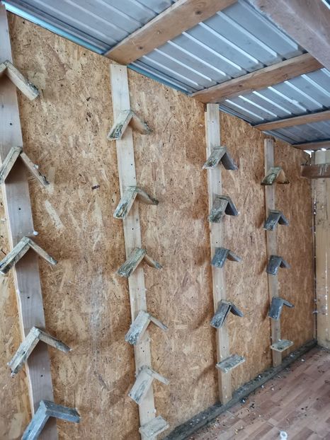  - Noua crescătorie de zbor