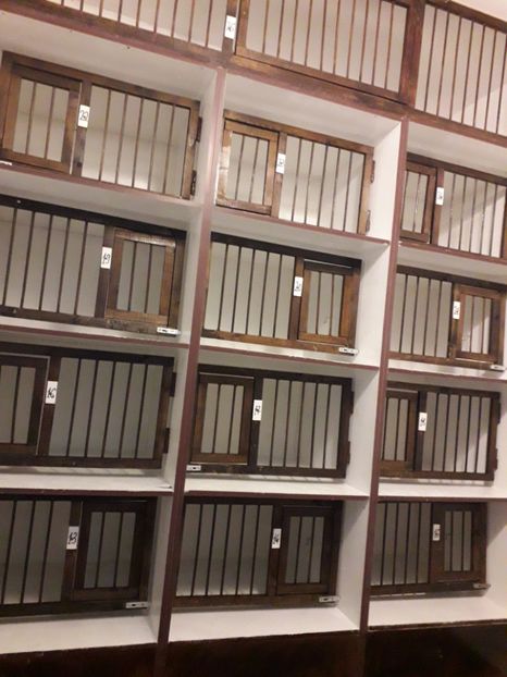  - Curățenie de toamnă