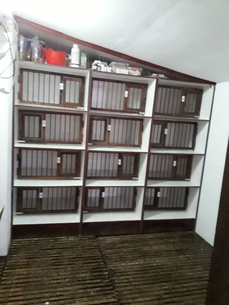  - Curățenie de toamnă