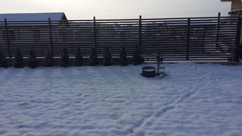 WhatsApp Image 2021-01-17 at 10.18.12 - TEREN CALIN