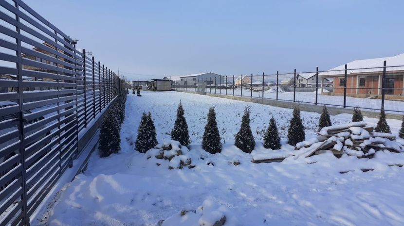 WhatsApp Image 2021-01-17 at 10.19.56 - TEREN CALIN