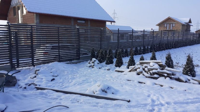 WhatsApp Image 2021-01-17 at 10.20.36 - TEREN CALIN