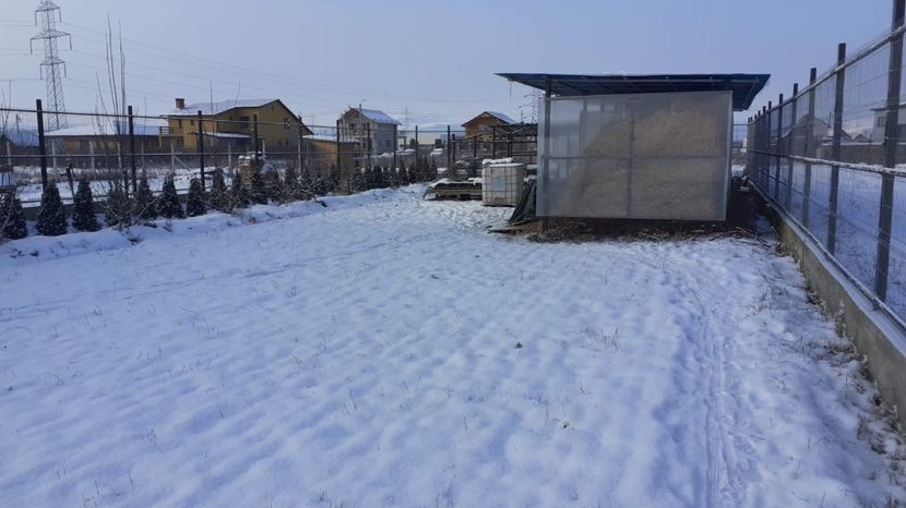 WhatsApp Image 2021-01-17 at 10.14.50 - TEREN CALIN