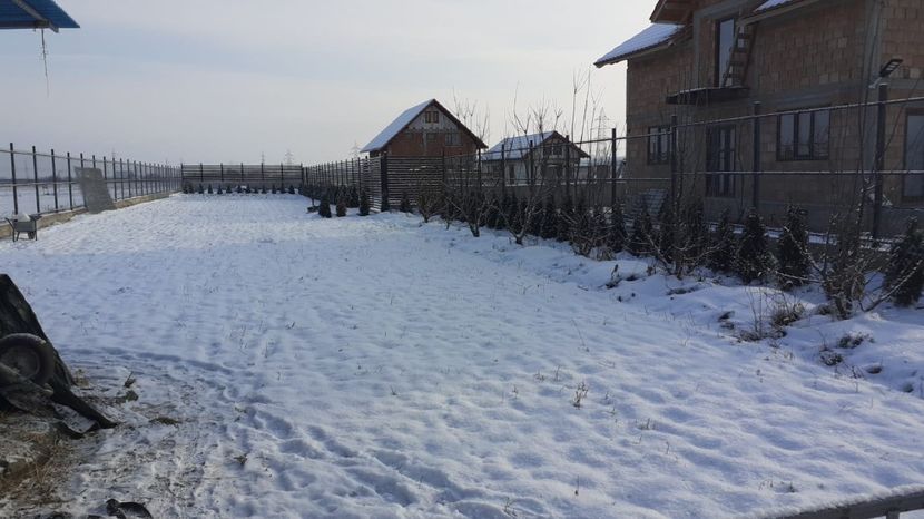 WhatsApp Image 2021-01-17 at 10.15.49 - TEREN CALIN