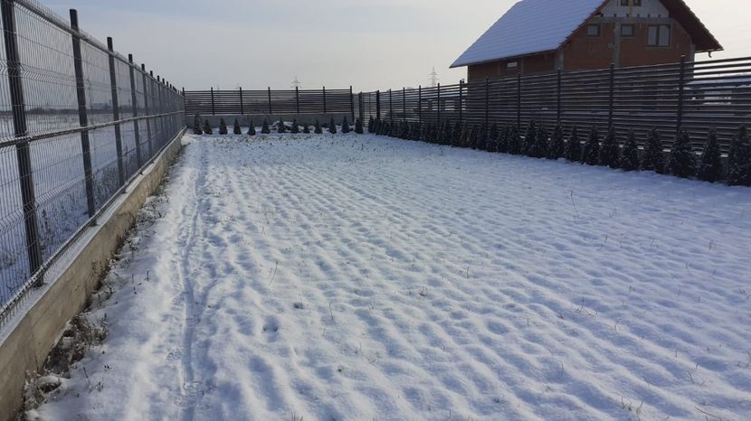 WhatsApp Image 2021-01-17 at 10.18.31 - TEREN CALIN