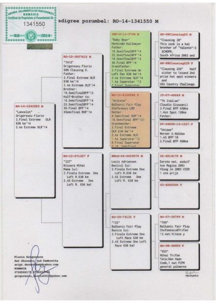 ro-14-1341550-m-grigorescu-florin-2-final-extrem-2-ace-extrem-olr-ro-14-1341550-m-grigorescu-florin- - 2 as 2 finala columbodrom