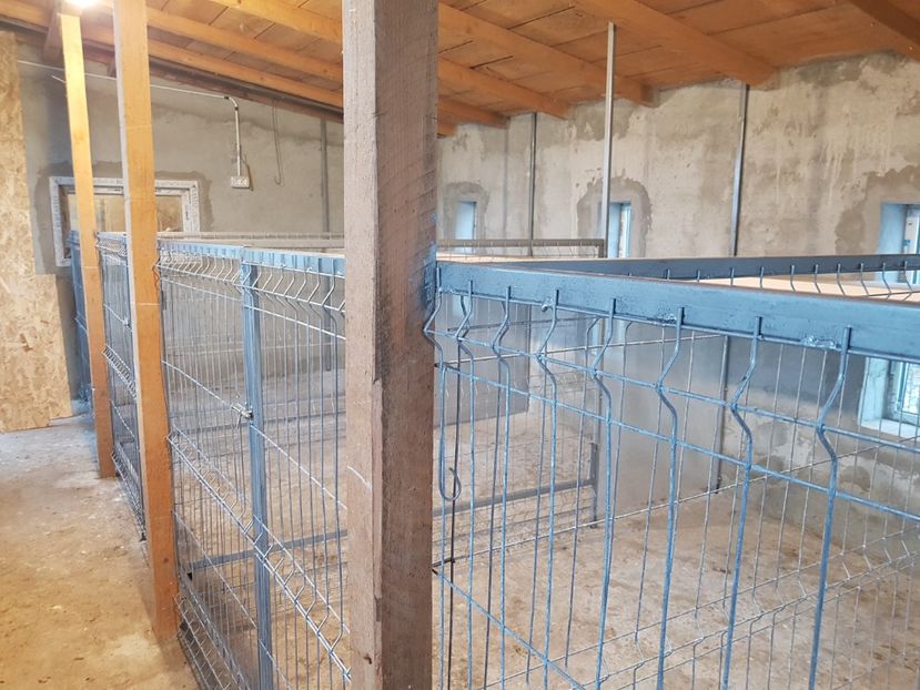  - A__Adapost pasari - camera iarna