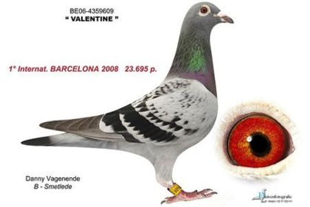 1 int Barcelona 2008 - Barcelona internațional